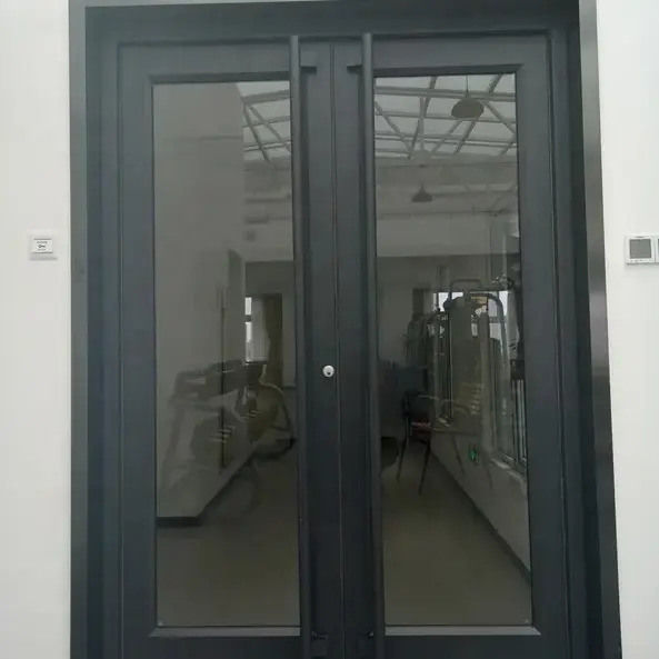 OEM UPVC ανοξείδωτο stell Αλουμίνιο Διπλή κλίση πόρτες kfc πόρτα 1,2mm πάχος